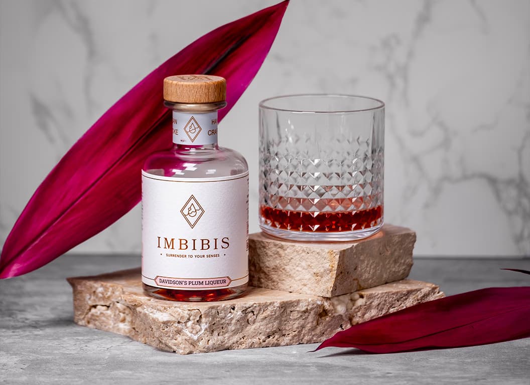 Imbibis project thumbnail